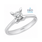 0.50 Karat F Rengi HRD Uluslararası Sertifikalı Kelebek Model Tektaş